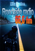 Book cover "Roadside radio 66,6 fm"
