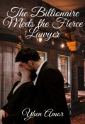 Book cover "The Billionaire Meets The Fierce Lawyer"