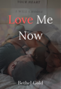 Book cover "Love Me Now"