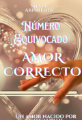 Portada del libro "Número Equivocado  Amor Correcto"