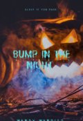 Book cover "Bump in the night #1"