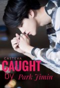 Portada del libro "Caught by Park Jimin [jikook] "