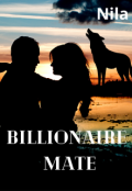 Book cover "Billionaire Mate"