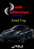 Book cover "Dark Collection: Short Story # 1 Road Trip"