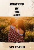 Book cover "Witnessed by the moon"