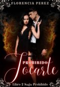 Portada del libro "Prohibido Tocarte "