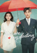Book cover "You are my destiny"