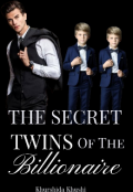 Book cover "The Secret Twins of the Billionaire "