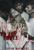 Book cover "Mated To The Three Alphas"