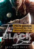 Book cover "The Black Beast"