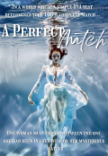 Book cover "A Perfect Match"