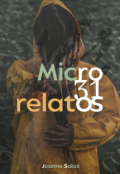 Portada del libro "Micro 31 relatos"