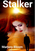 Book cover "Stalker"