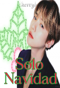 Portada del libro "3. Solo Navidad ❁ [chanbaek]"