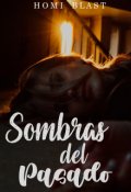 Portada del libro "Sombras del Pasado"