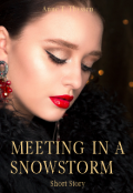 Book cover "Meeting In A Snowstorm"