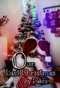Book cover "Our Last Christmas "