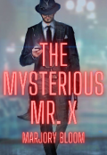 Book cover "Mysterious Mr. X"