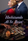 Portada del libro "Hechizando Al Señor Brier"