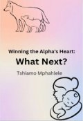Book cover "What Next? (wtah series book 1.5)"