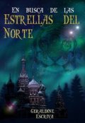 Portada del libro "En busca de las estrellas del norte "