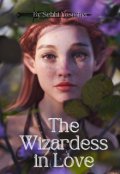 Book cover "The Wizardess In Love"