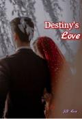 Book cover "Destiny's Love"