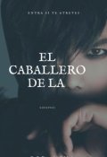 Portada del libro "el caballero de la noche"