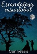 Portada del libro "Escandalosa casualidad "