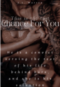 Book cover "Chance For You ~ Hearts Intertwined 4: Prequel"