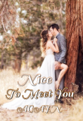 Book cover "Nice To Meet You Again "
