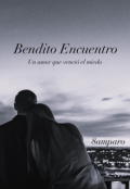 Portada del libro "Bendito Encuentro  " Un Amor que venció el Miedo "