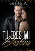 Portada del libro "Tú Eres Mi Destino"