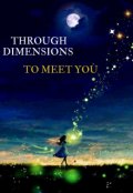 Portada del libro "Through Dimensions to meet you"