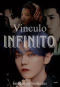 Portada del libro "Vinculo Infinito"