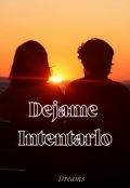 Portada del libro "Dejame Intentarlo (amores que sanan #4.5)"