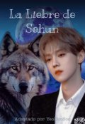 Portada del libro "La Liebre de Sehun -Hunhan-"