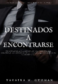 Portada del libro "Destinados A Encontrarse |gay|"