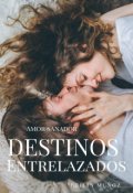 Portada del libro "Destinos Entrelazados"