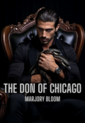 Book cover "The Don of Chicago."
