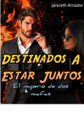 Portada del libro "Destinados a estar juntos"