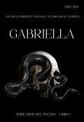 Portada del libro "Gabriella #1"