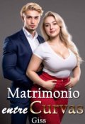 Portada del libro "Matrimonio entre curvas"