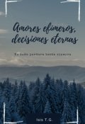 Portada del libro "Amores Efímeros, Decisiones Eternas"