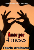 Portada del libro "Amor por 4 meses "