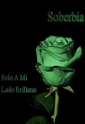 Portada del libro "Solo a mi lado brillaras"