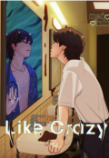 Portada del libro "Like Crazy //jimsu"