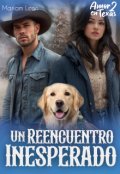 Portada del libro "Un reencuentro Inesperado"