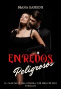 Portada del libro "Enredos Peligrosos"