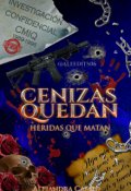 Portada del libro "Cenizas Quedan: Rp#2"